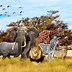 Image result for Safari Background
