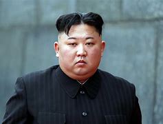 Image result for The Kim Face North Korea