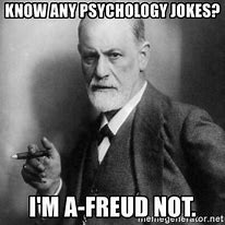 Image result for Freus Theory Being Correct Meme