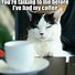 Image result for Thursday Cat Coffee Meme