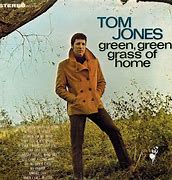 Image result for Tom Jones LP Covers
