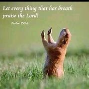 Image result for Praise Funny