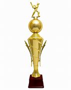 Image result for Cricket Tournament Trophies