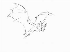 Image result for Bat Skull Drawing