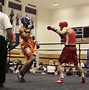 Image result for Collegiate Boxing