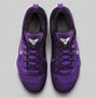 Image result for Nike Kobe Shoes Elite
