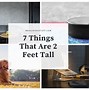 Image result for 2 Feet Tall