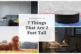 Image result for Things That Are 2 Feet Long