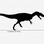 Image result for Dinosaur Size Comparison Chart