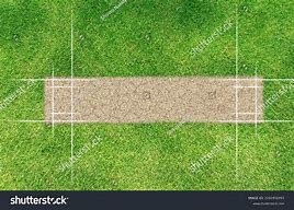 Image result for Cricket Ground Grass