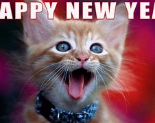Image result for Happy New Year Funny Animated