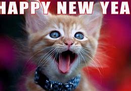 Image result for Funny New Year's Resolutions Images