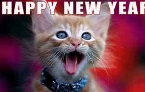 Image result for Happy New Year Monsters Meme