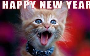 Image result for Funny Picture of Happy New Year