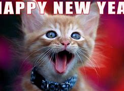 Image result for Have a Happy New Year Meme