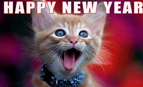 Image result for Funny New Year's Memes 2019