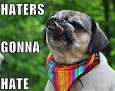 Image result for Haters Are Gonna Hate