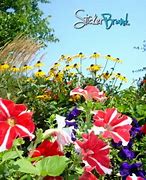 Image result for Flower Garden Wall Decals