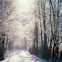 Image result for Snowy Background HD