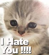 Image result for Meme I Hate You Too
