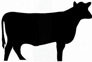 Image result for Cow Bad Art