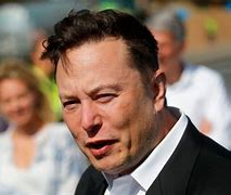 Image result for Elon Musk Fortuna