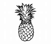 Image result for Pineapple Outline Graphic