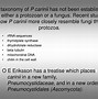 Image result for pneumocystis_carinii