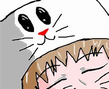 Image result for Gato Anime Meme
