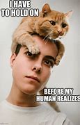 Image result for Funny Cat Owner Memes