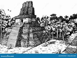Image result for Tikal Cartoon