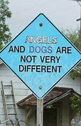 Image result for Dog Angel Funny
