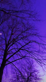 Image result for Light Purple Screen