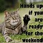 Image result for Busy Weekend Meme