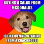 Image result for Top Funny Memes
