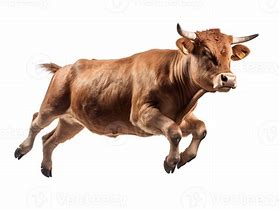 Image result for Cow Jumping Clip Art