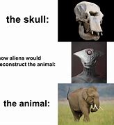 Image result for Alien Skull Meme