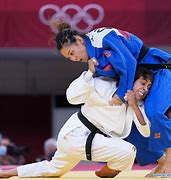 Image result for Judo Japan