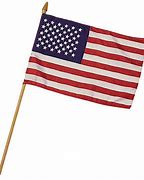Image result for Mini American Flag