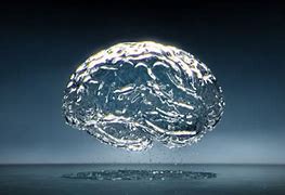 Image result for Water On Brain