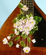 Image result for Mandolin Flowers
