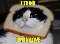 Image result for Wonder Bread Meme