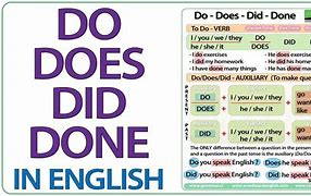 Image result for Did Do Does Rules