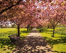 Image result for gallup park