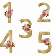Image result for 1 2 3 or 4
