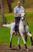 Image result for Putin Horseback