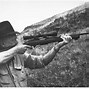 Image result for 270 Winchester Vs.308