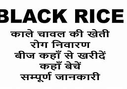 Image result for Black Rice GMO
