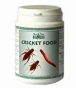 Image result for Cricket Food