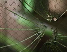 Image result for Broken Glass Artwork